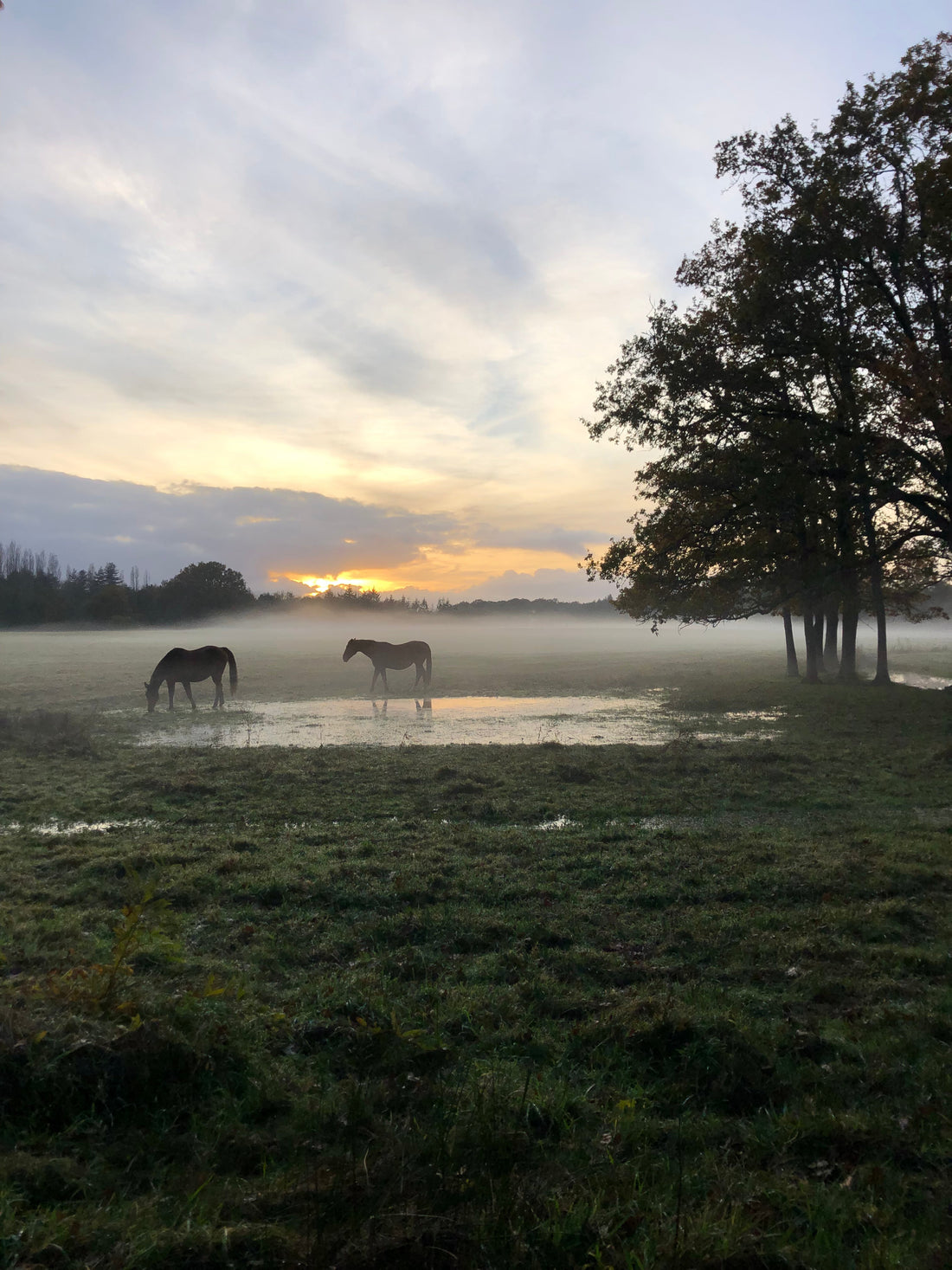 Escapade nature à 1h de Paris : une maison de campagne idéale pour un week-end entre amis
