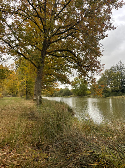 Charmante Maison de Campagne avec Piscine & Court de Tennis Partagés