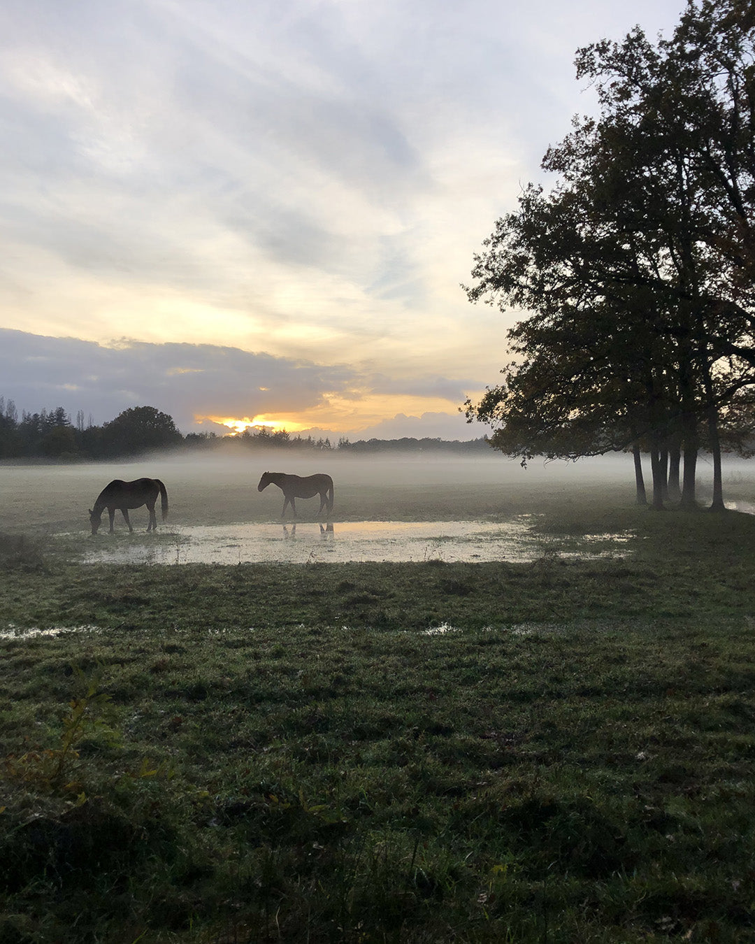 Charmante Maison de Campagne avec Piscine & Court de Tennis Partagés
