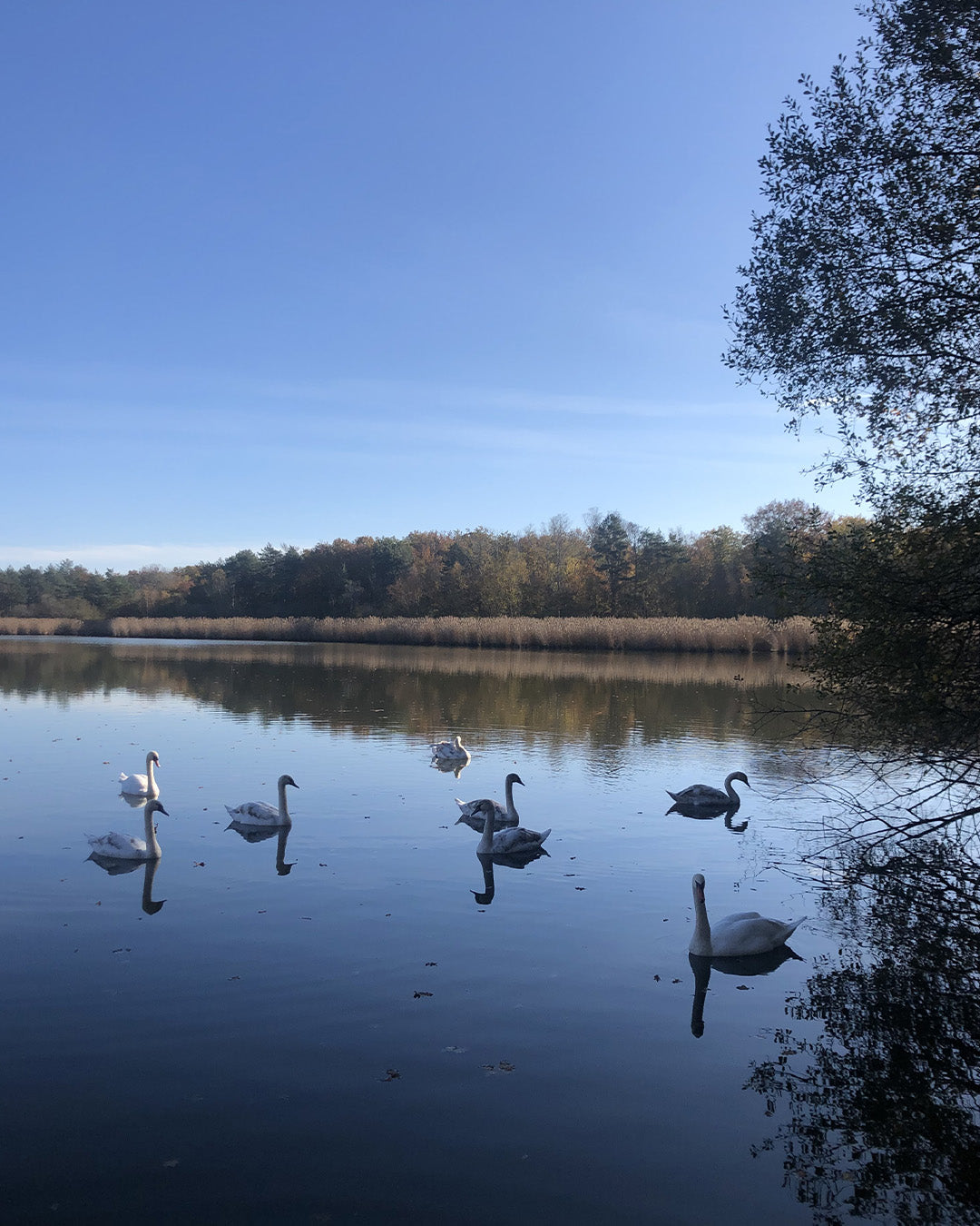 Charmante Maison de Campagne avec Piscine & Court de Tennis Partagés