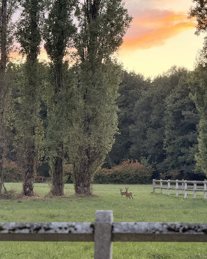 Charmante Maison de Campagne avec Piscine & Court de Tennis Partagés